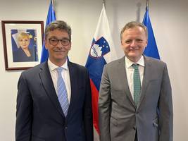 Ombudsman Svetina with Ambassador Boštjan Malovrh, Permanent Representative of the Republic of Slovenia to the UN in New York